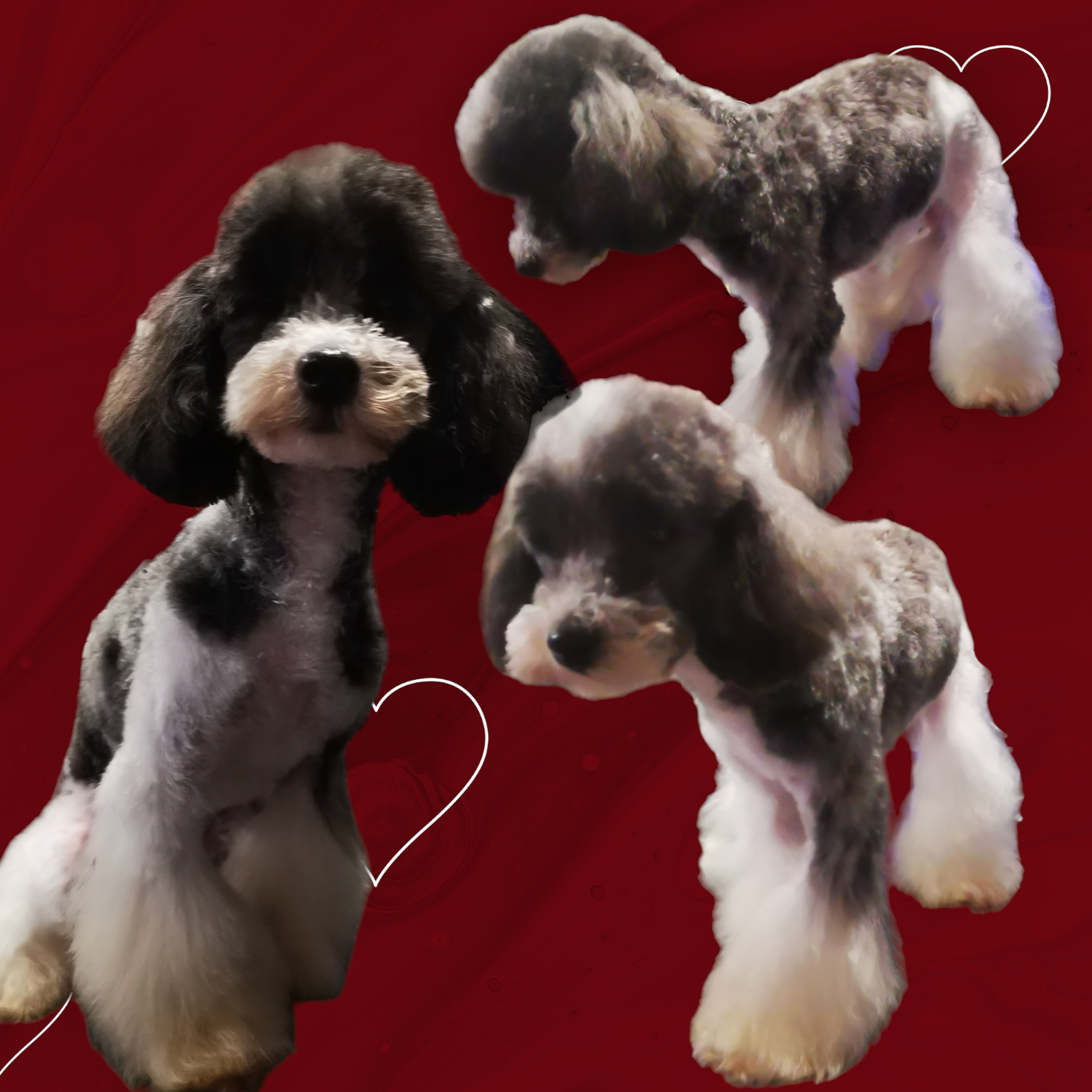 Photoroom-20240310_002521